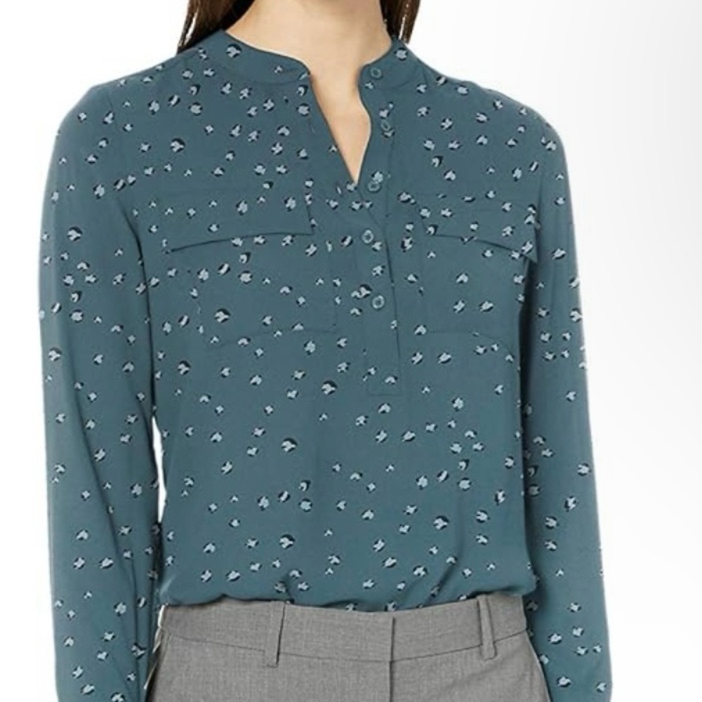 NWOT Lark & Ro Sheer Floral Long Sleeve Blouse Sz 0